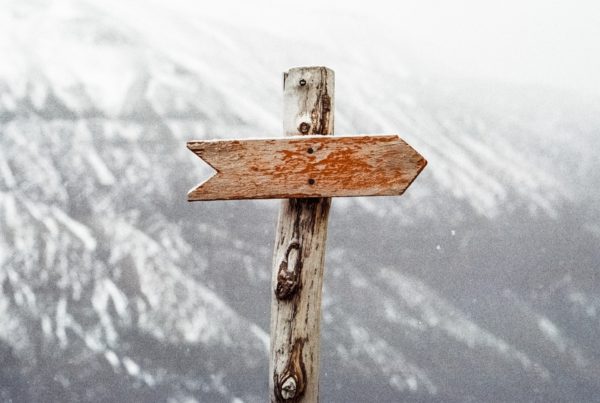 Content Marketing. Don’t follow the pack – be the pack!