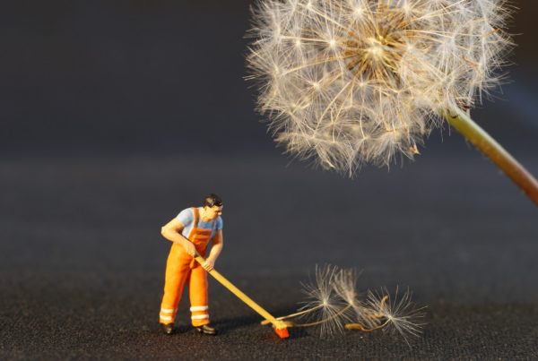 Our top tips for keeping your site clean, tidy and up to date